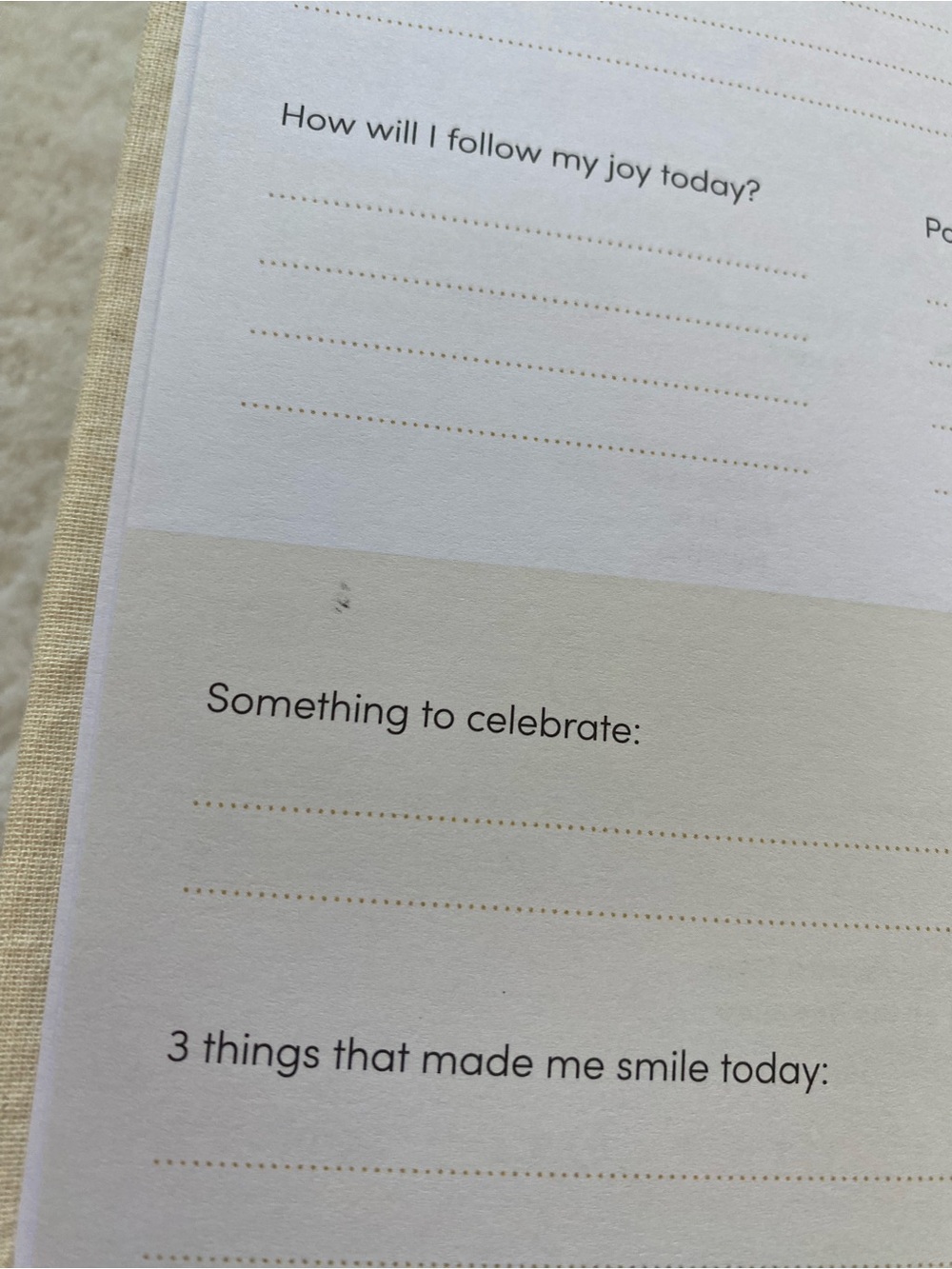 Lavendaire Joy Journal Linen Gratitude Journal Notebook - Picture 5 of 9